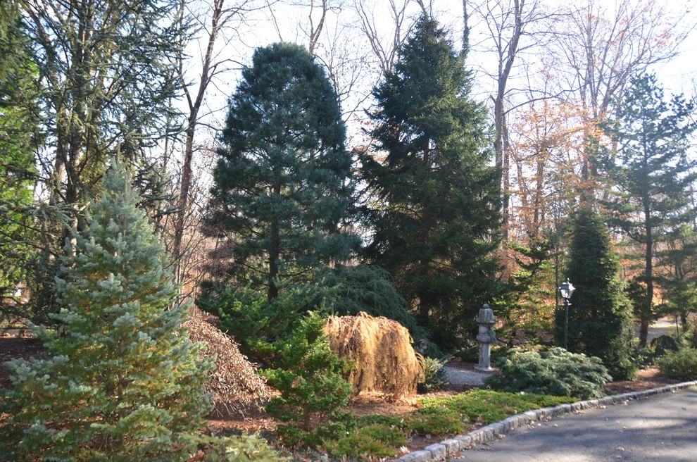 Asian Garden by Young's Legacy Landscaping - Photo 14