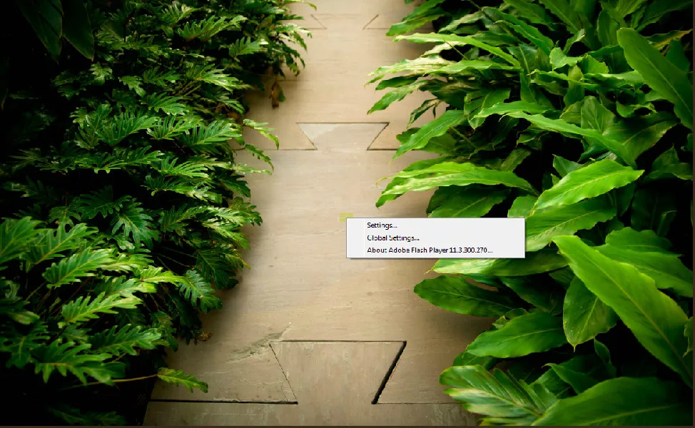 outdoor motivation by Wills Company - Photo 63