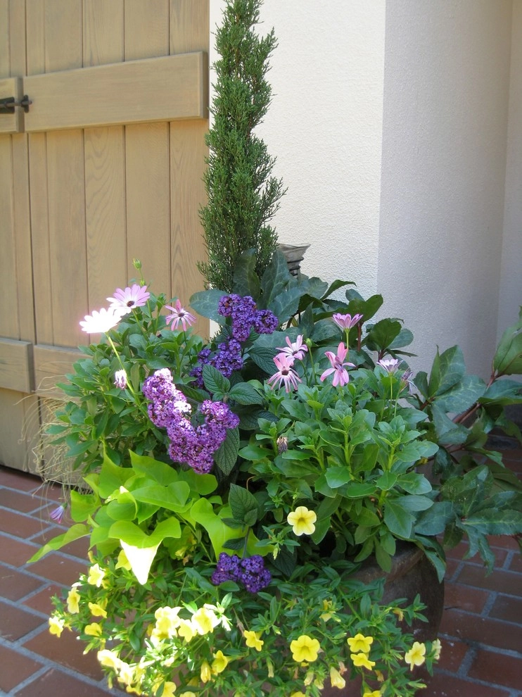 West Hills Annual Color by Chinick Landscaping & Nursery - Photo 5