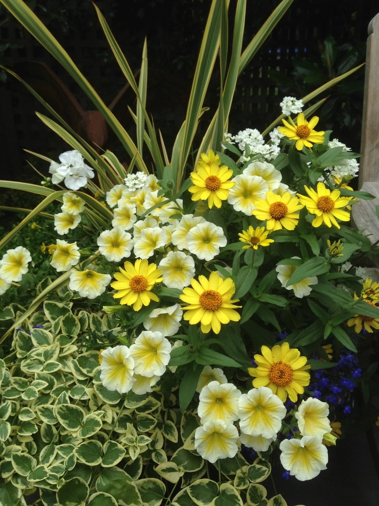 Container Gardening by Chinick Landscaping & Nursery - Photo 3