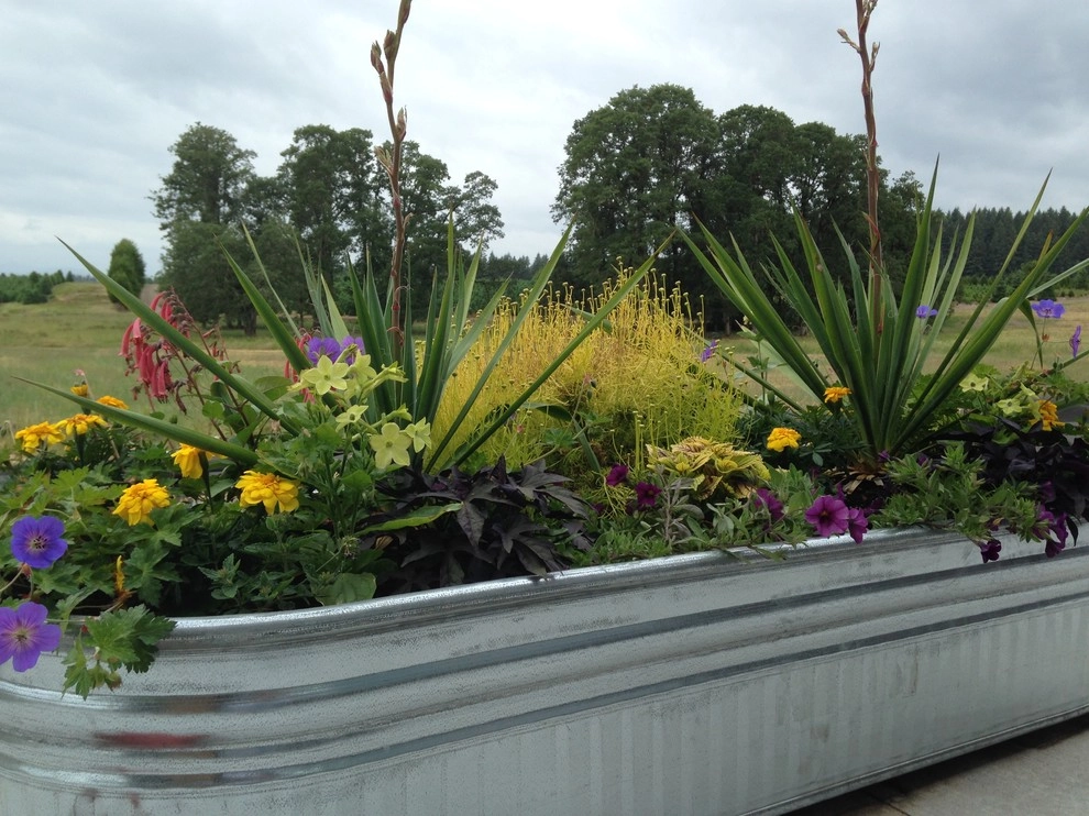 Rural Contemporary by Chinick Landscaping & Nursery - Photo 4