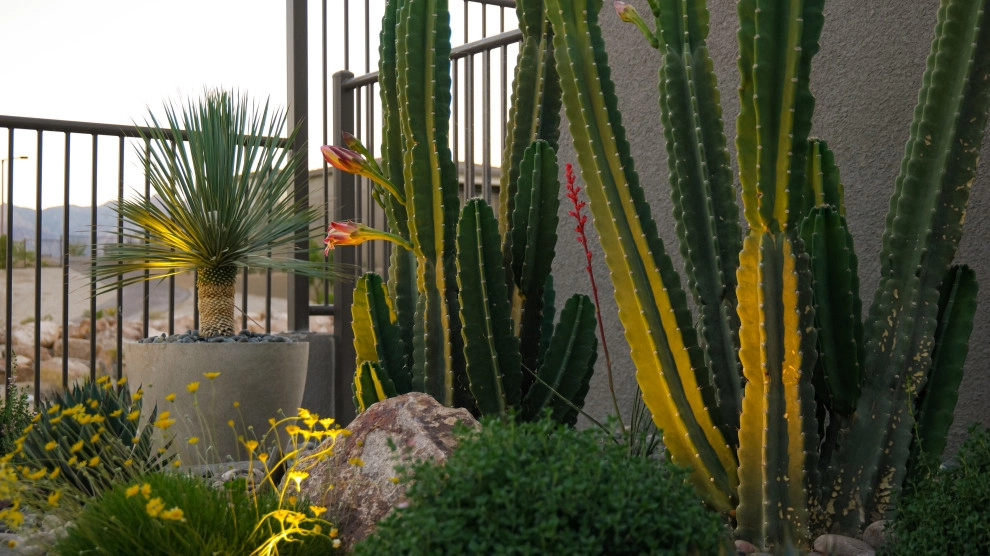 Pottery by Chip-n-dale's Custom Landscaping - Photo 11