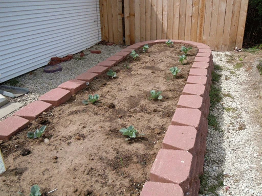 K.C. Eco Lawn Mow - Photo 4