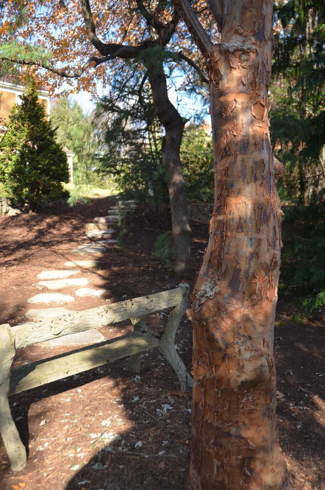 Asian Garden by Young's Legacy Landscaping - Photo 13