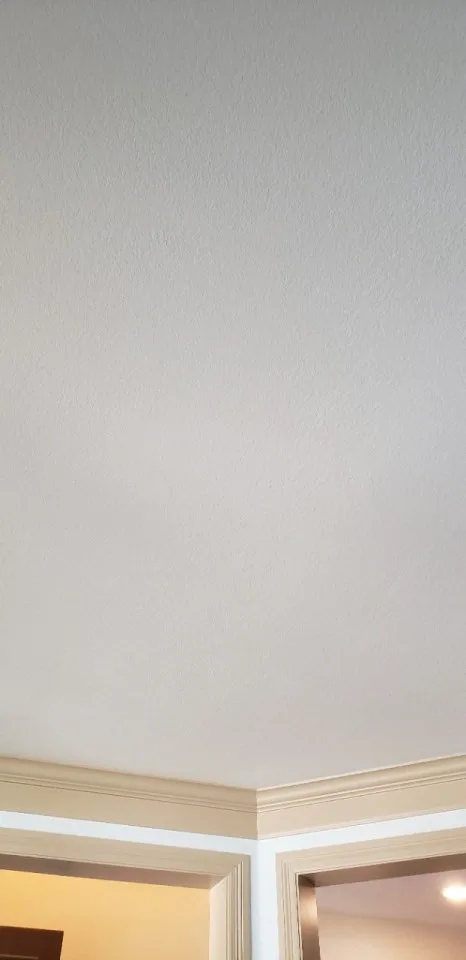 Wall Ceiling Trim Painting by Built Dfw - Photo 16