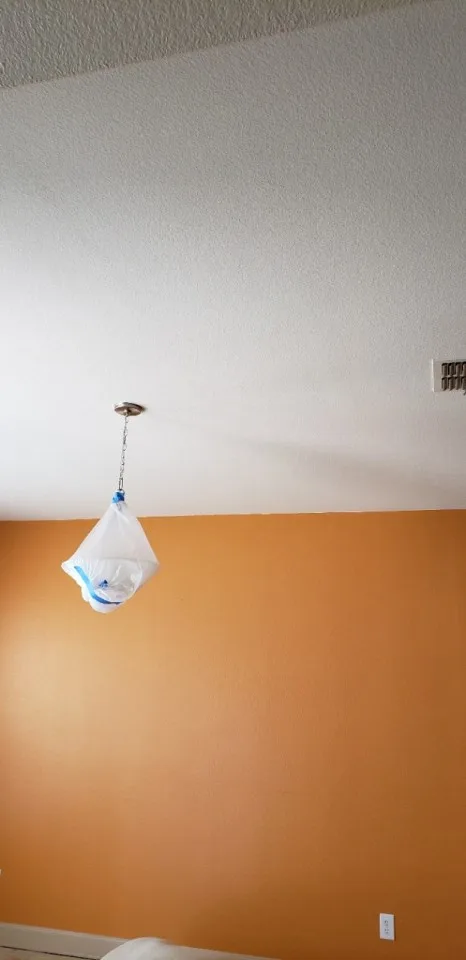 Wall Ceiling Trim Painting by Built Dfw - Photo 9