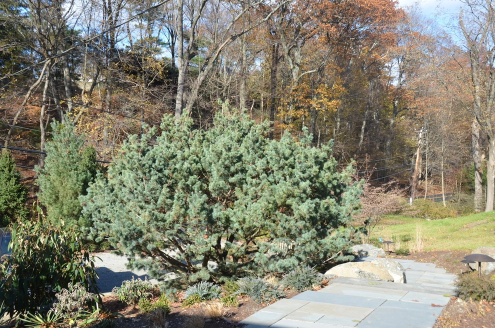 Hidden Garden by Young's Legacy Landscaping - Photo 7