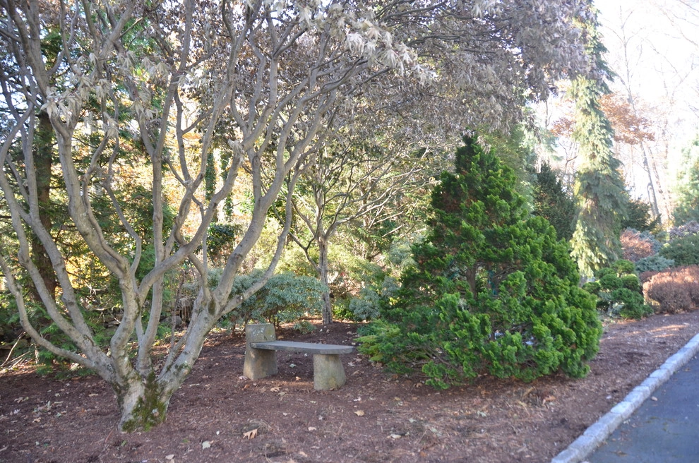 Young's Legacy Landscaping - Photo 11