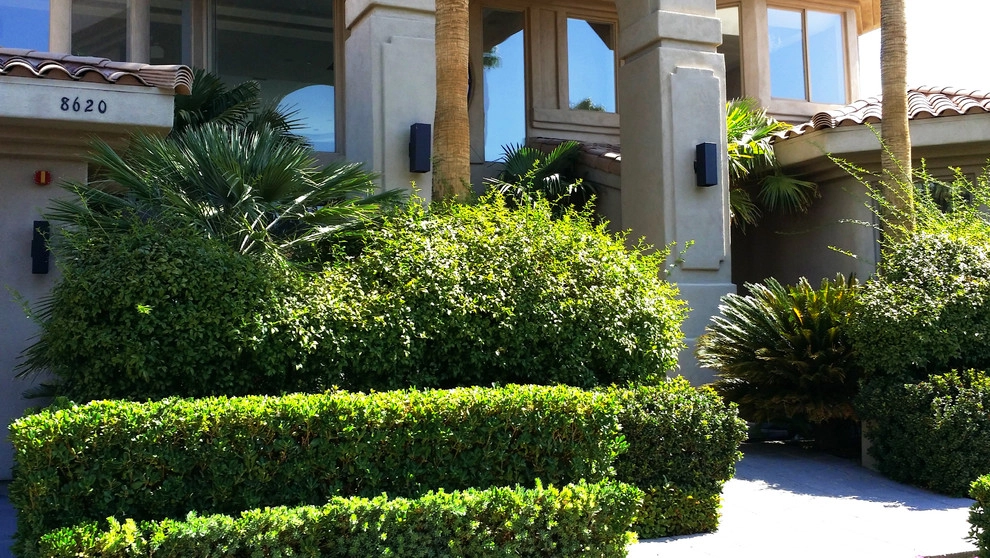 Canyon Gate remodel by Chip-n-dale's Custom Landscaping - Photo 10