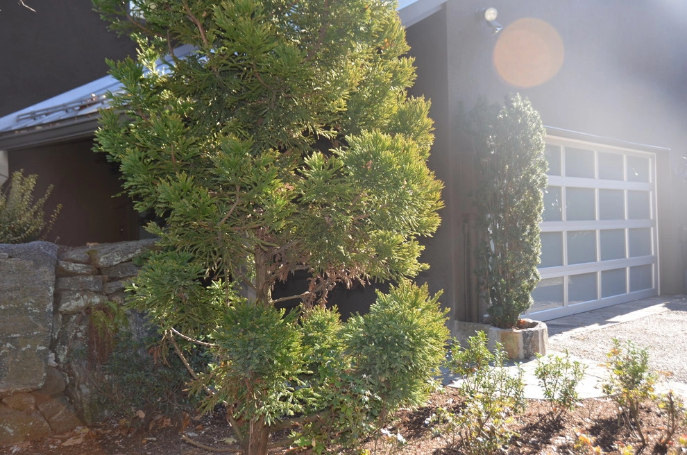 Hidden Garden by Young's Legacy Landscaping - Photo 10