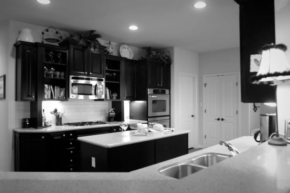 Gadwall Duck by Realty Restoration, LLC - Photo 2