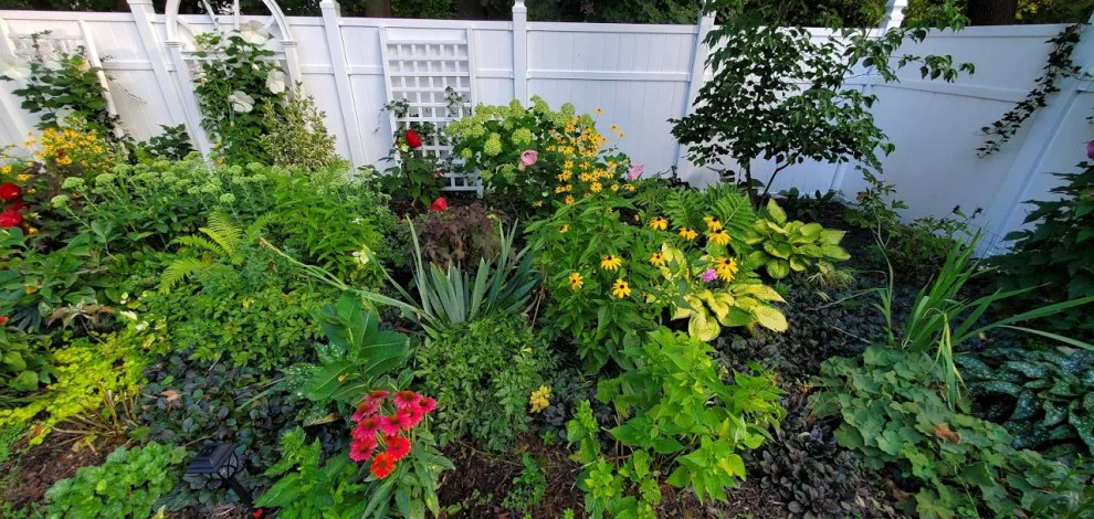 green spaces by Cliffeton Green Design Concepts - Photo 19