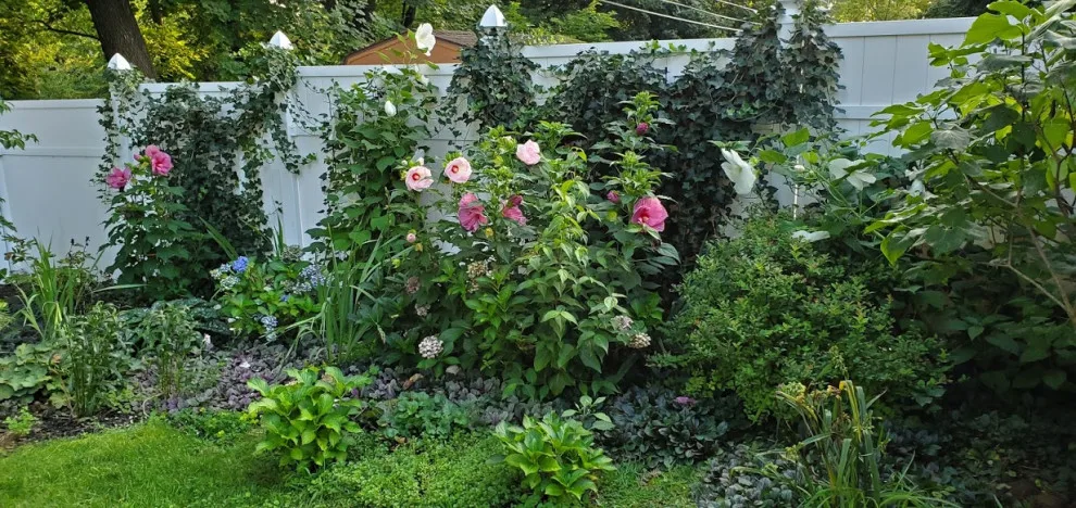 green spaces by Cliffeton Green Design Concepts - Photo 23