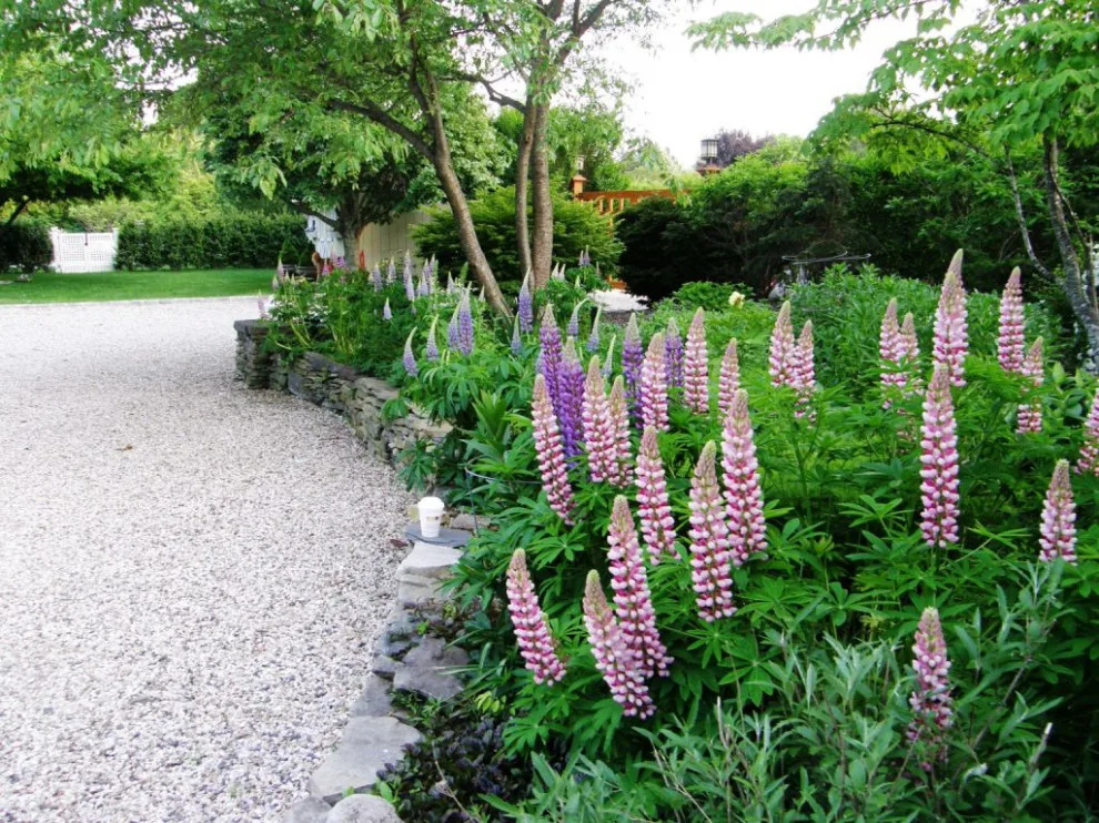 green spaces by Cliffeton Green Design Concepts - Photo 22