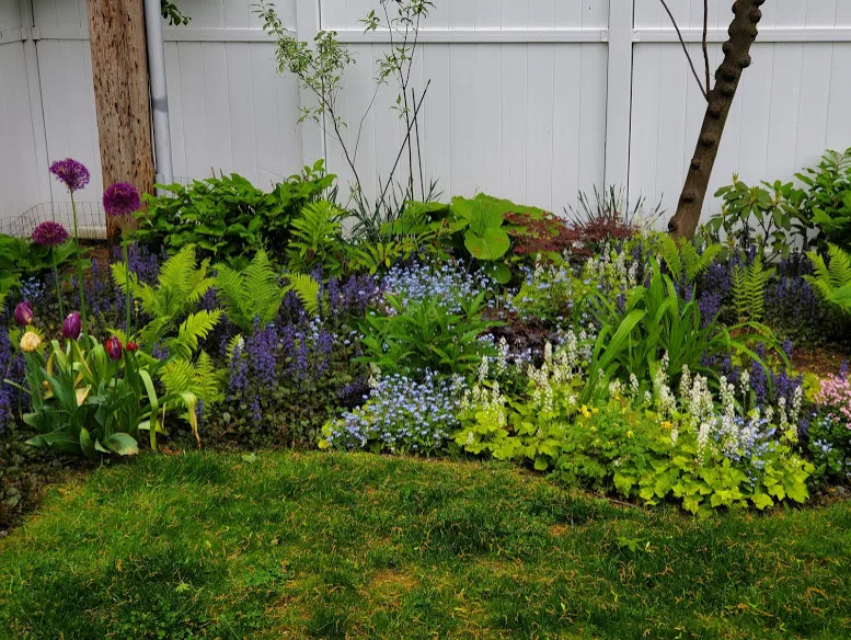 green spaces by Cliffeton Green Design Concepts - Photo 14