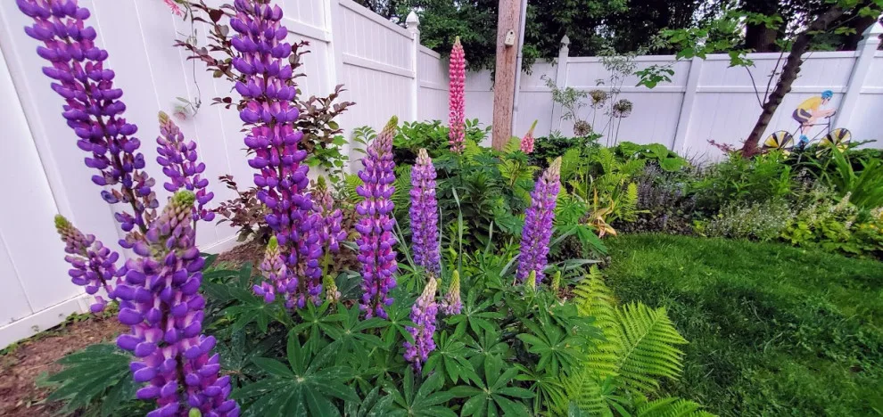 green spaces by Cliffeton Green Design Concepts - Photo 12