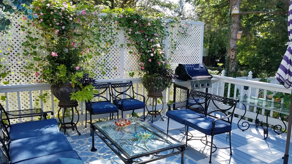 green spaces by Cliffeton Green Design Concepts - Photo 8