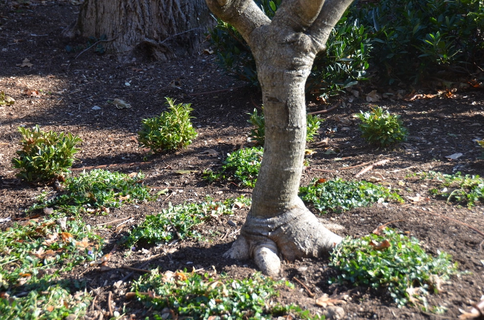 Hidden Garden by Young's Legacy Landscaping - Photo 19