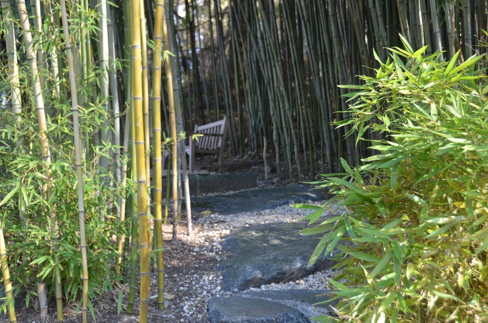 Hidden Garden by Young's Legacy Landscaping - Photo 16