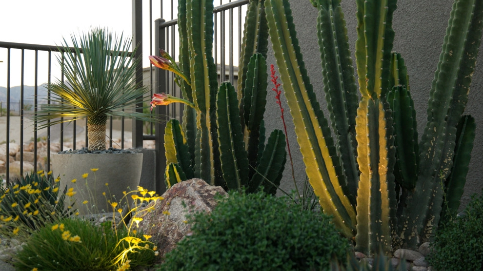 Softscaping by Chip-n-dale's Custom Landscaping - Photo 8