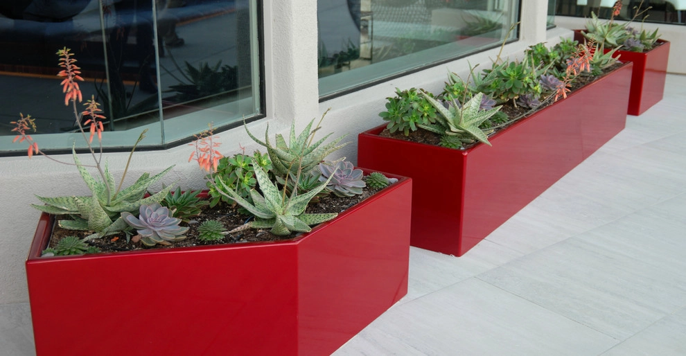 Canyon Gate remodel by Chip-n-dale's Custom Landscaping - Photo 16