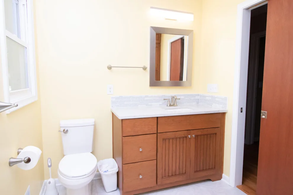 Grand Ledge Culinary and Bathroom Design by Odd Fellows Contracting - Photo 7