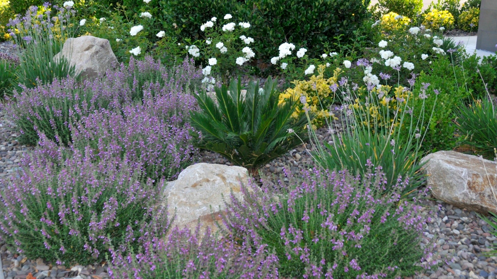 Softscaping by Chip-n-dale's Custom Landscaping - Photo 4