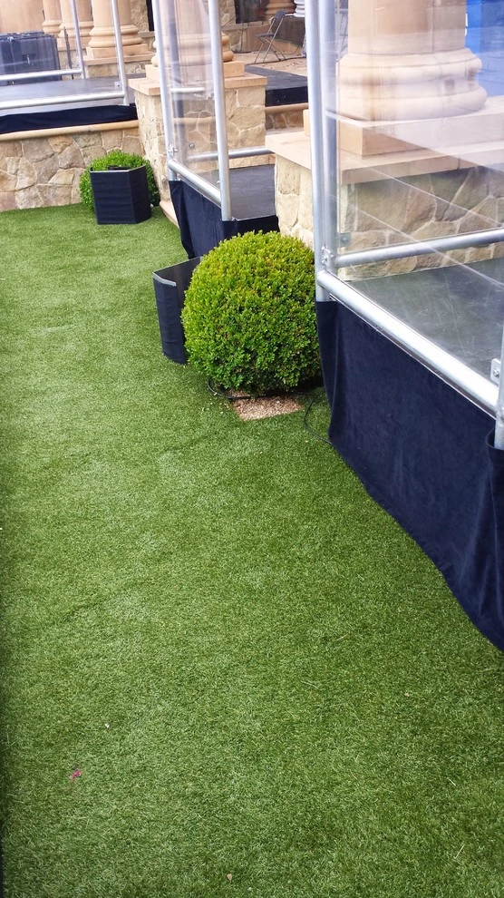 Artificial Turf by Krueger Property Investments - Photo 21