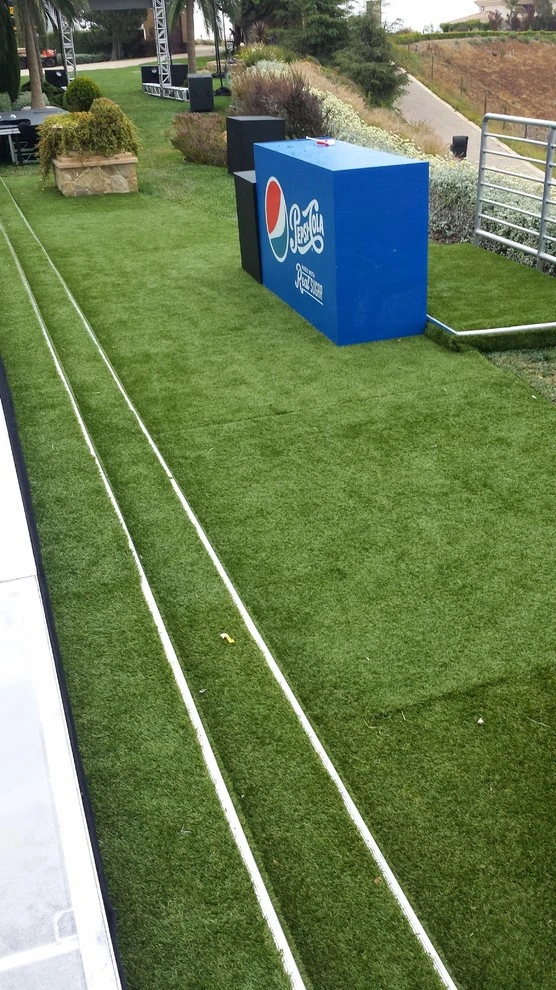 Artificial Turf by Krueger Property Investments - Photo 8