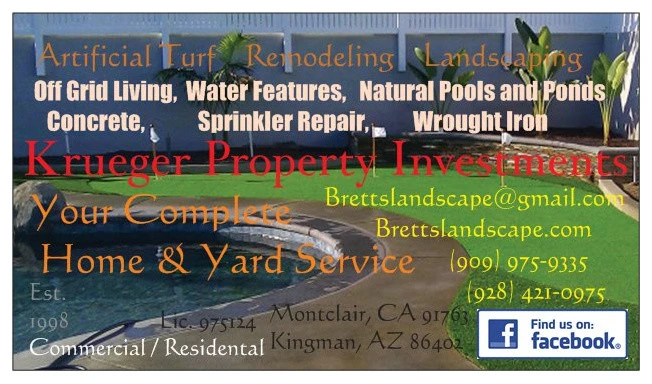 Artificial Turf by Krueger Property Investments - Photo 16
