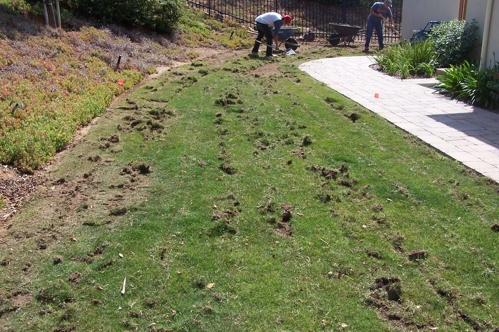 Artificial Turf by Krueger Property Investments - Photo 38