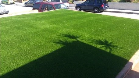 Artificial Turf by Krueger Property Investments - Photo 31