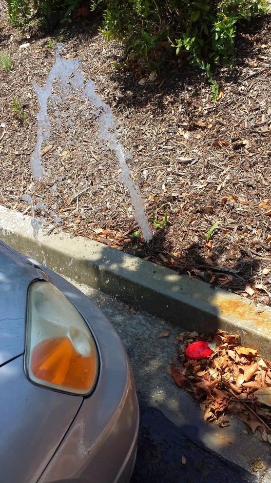 sprinkler repair by Krueger Property Investments - Photo 2