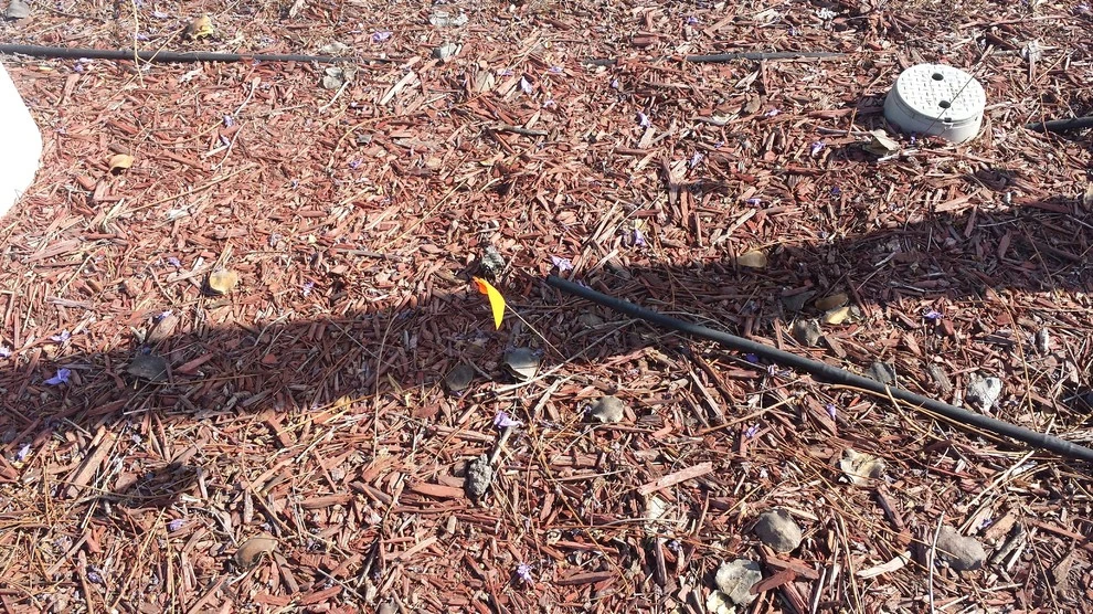 sprinkler repair by Krueger Property Investments - Photo 8