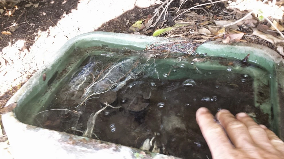 sprinkler repair by Krueger Property Investments - Photo 14