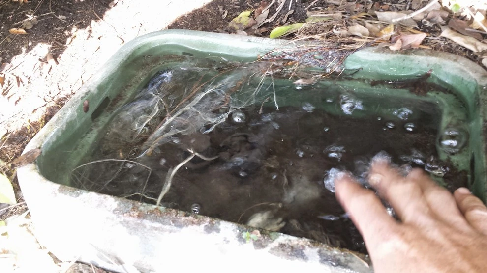 sprinkler repair by Krueger Property Investments - Photo 5