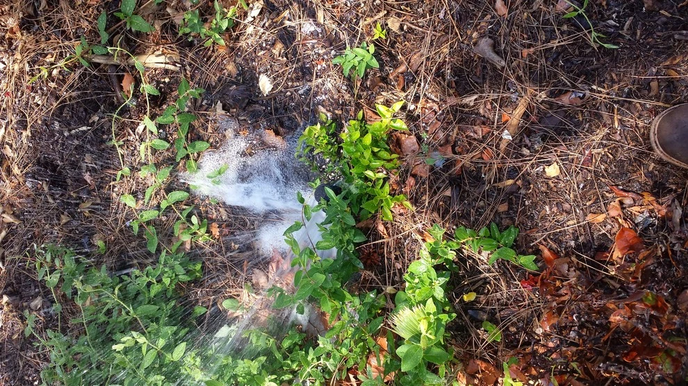 sprinkler repair by Krueger Property Investments - Photo 9