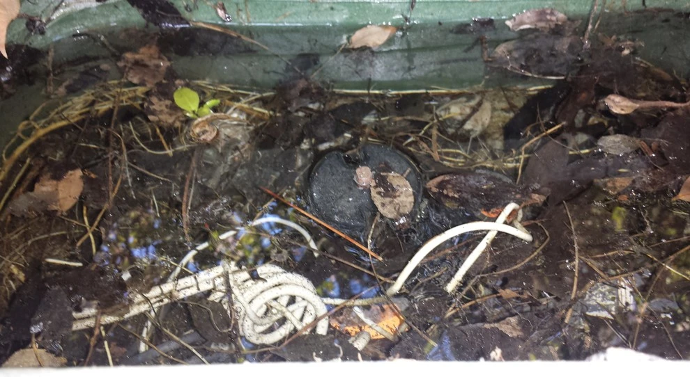sprinkler repair by Krueger Property Investments - Photo 3