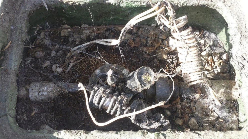sprinkler repair by Krueger Property Investments - Photo 6