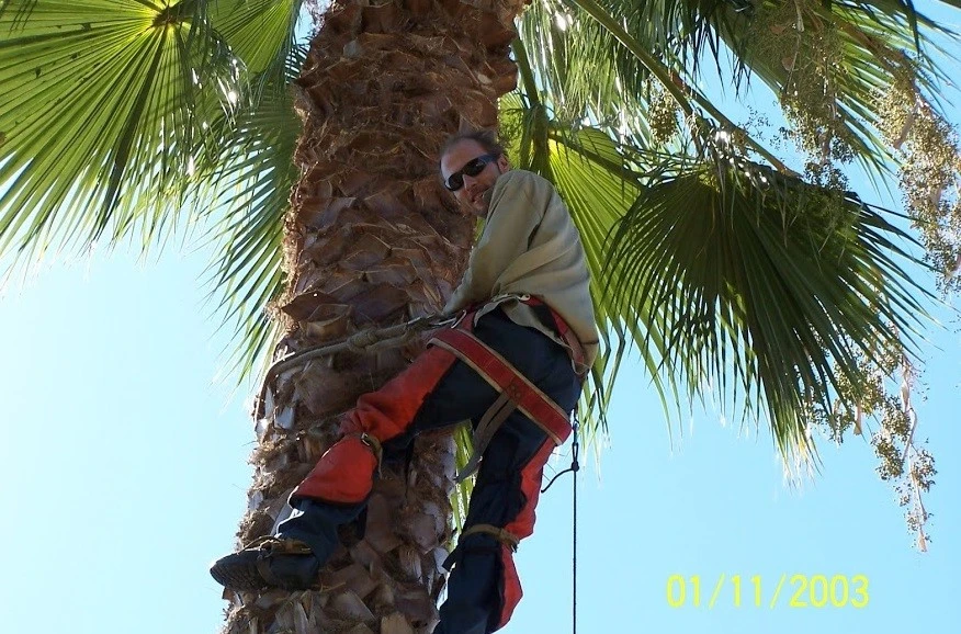 tree serice by Krueger Property Investments - Photo 25