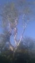 tree serice by Krueger Property Investments - Photo 21