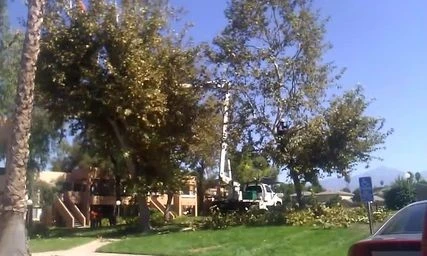 tree serice by Krueger Property Investments - Photo 29