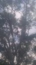 tree serice by Krueger Property Investments - Photo 24