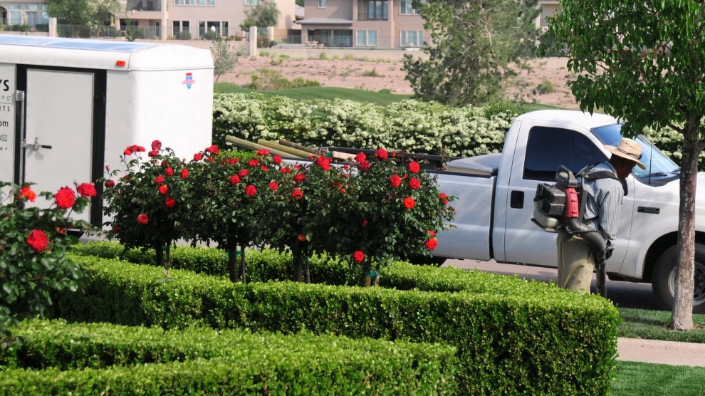 Maintenance by Chip-n-dale's Custom Landscaping - Photo 10