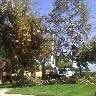 tree serice by Krueger Property Investments - Photo 10