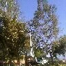 tree serice by Krueger Property Investments - Photo 27