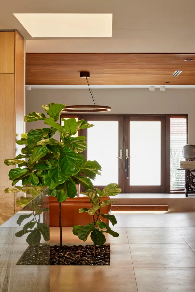 Treasure Haven by Studio Rodrigo Buelvas - Photo 11