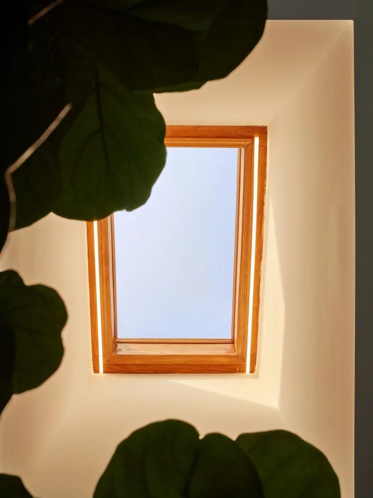 Treasure Haven by Studio Rodrigo Buelvas - Photo 4