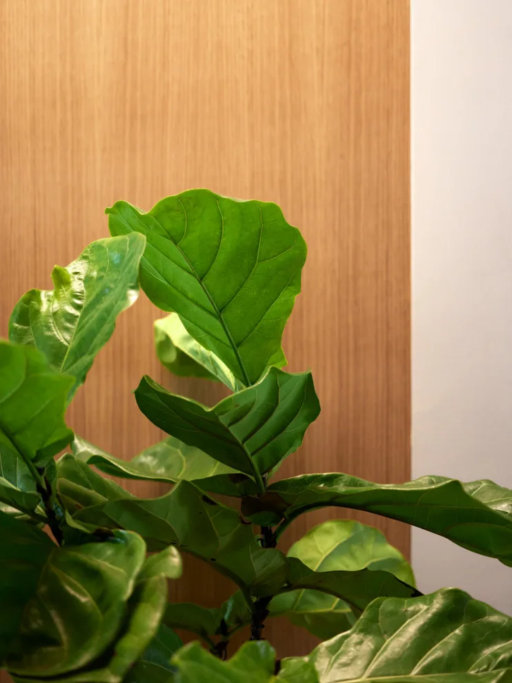 Treasure Haven by Studio Rodrigo Buelvas - Photo 10