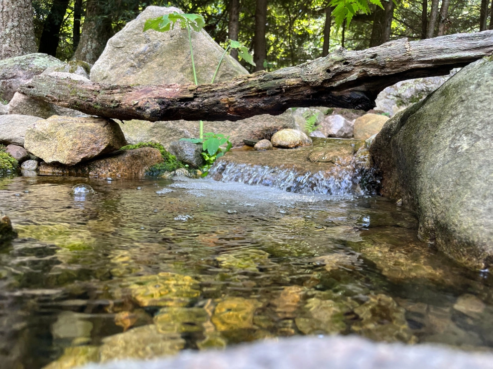 NATURAL ELEMENTS By Design - Photo 13